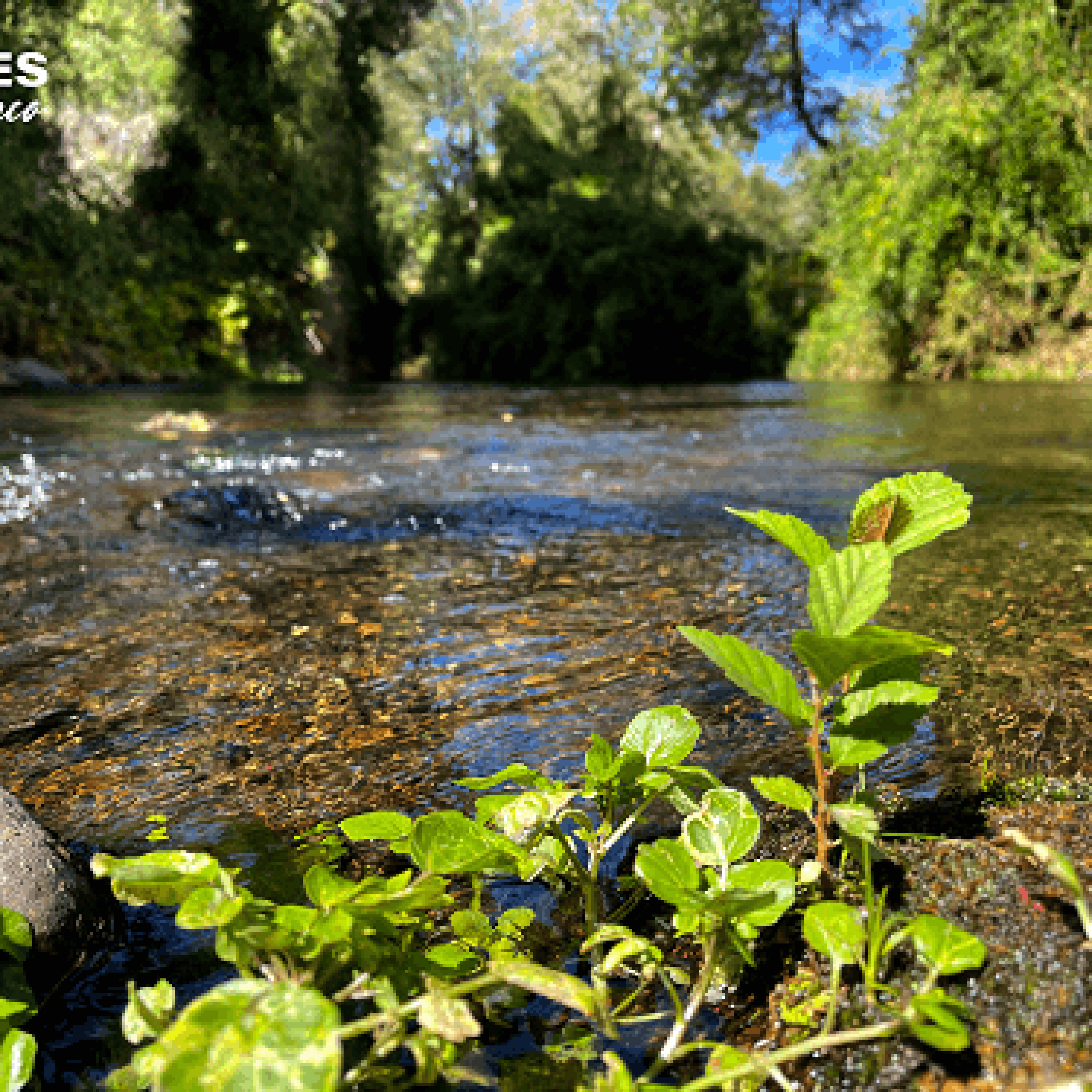 IMG_6467
